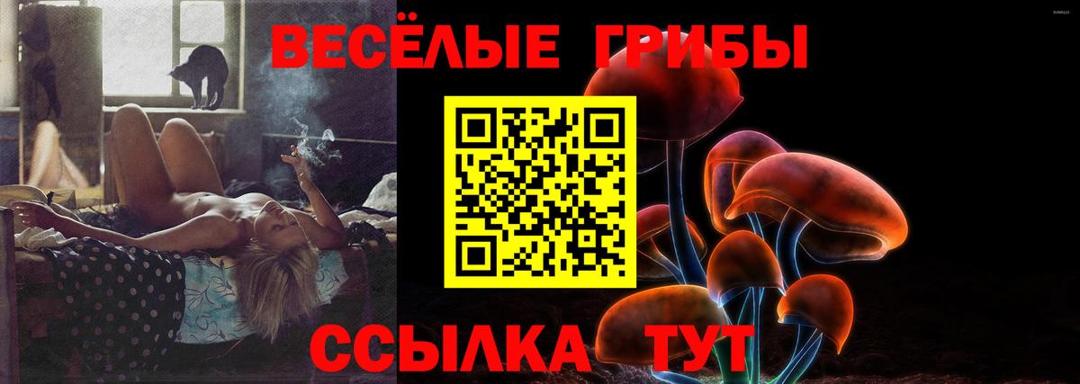 Псилоцибиновые грибы мицелий Стрежевой